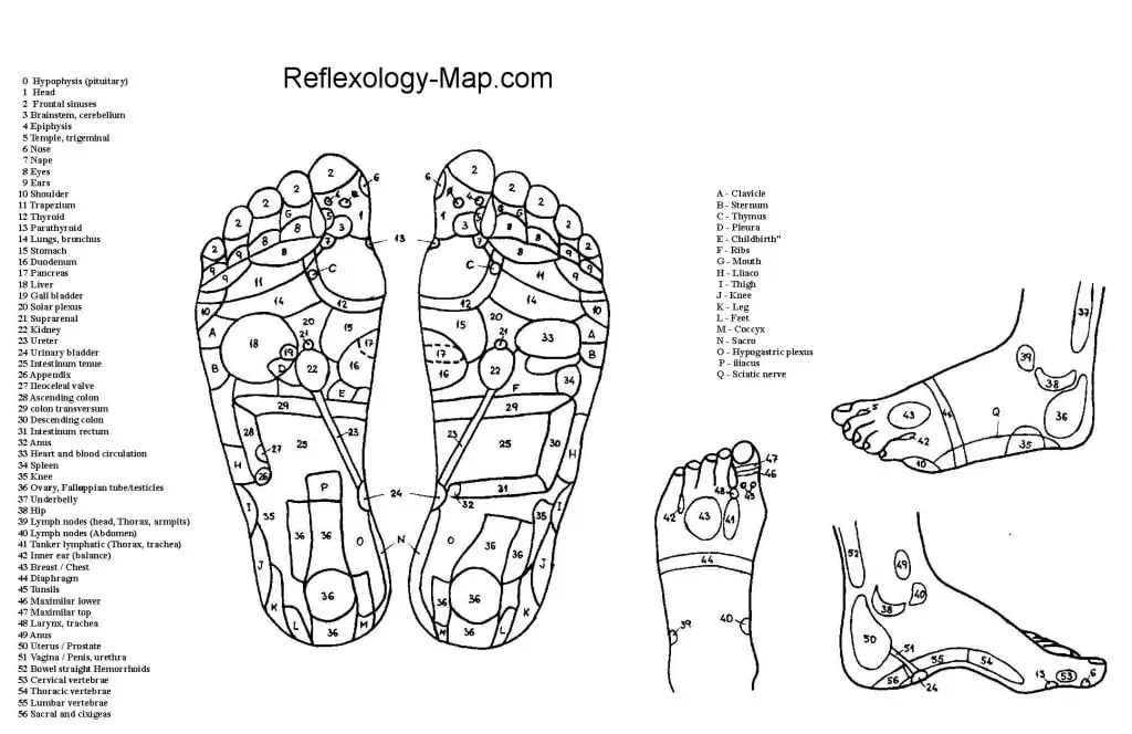 foot reflexology chart