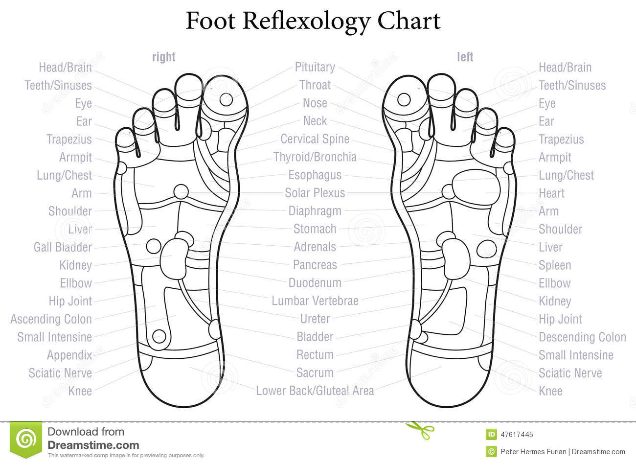 Chinese foot map health chart