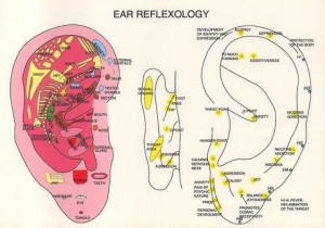 REFLEXOLOGY ear