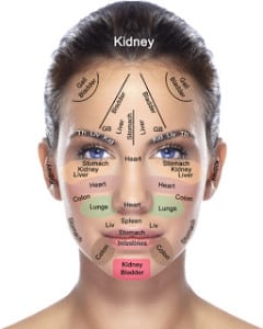 Face reflexology chart