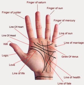 handchart reflexology