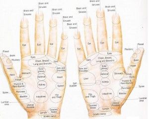 Reflexology Hand Map Chart