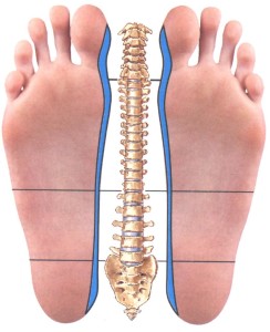 Reflexology for back pain