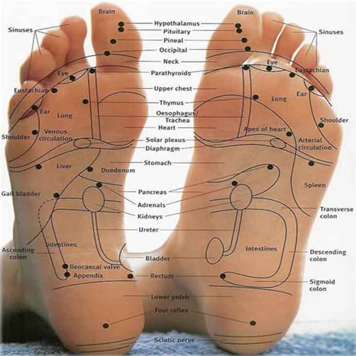 Foot reflexology chart map