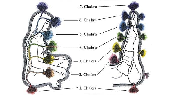 Reflexology chakras