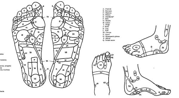 Reflexology foot chart